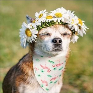 PAWCHIE Cute Dog Bandana - Flamingo Pattern Cooling Summer Style